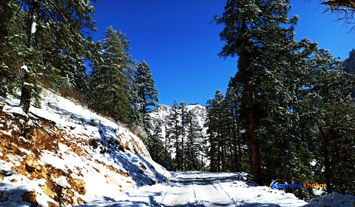 जुम्लाको भुलभुलेबाट रारा जाने बाटो । तस्विरः लोकेन्द्र विश्वकर्मा 