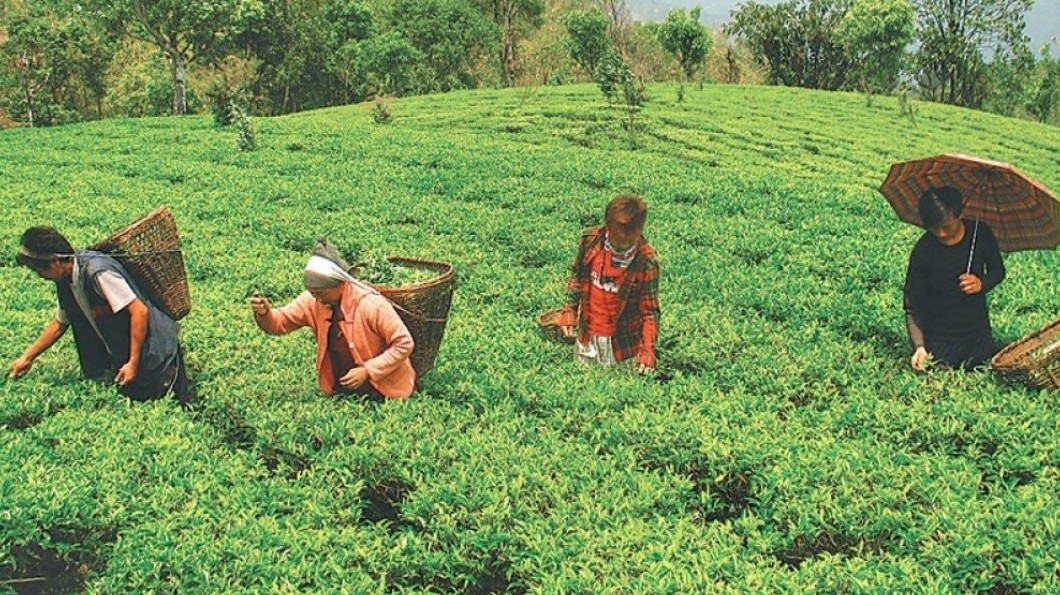 कृषकलाई दुई करोड अनुदान