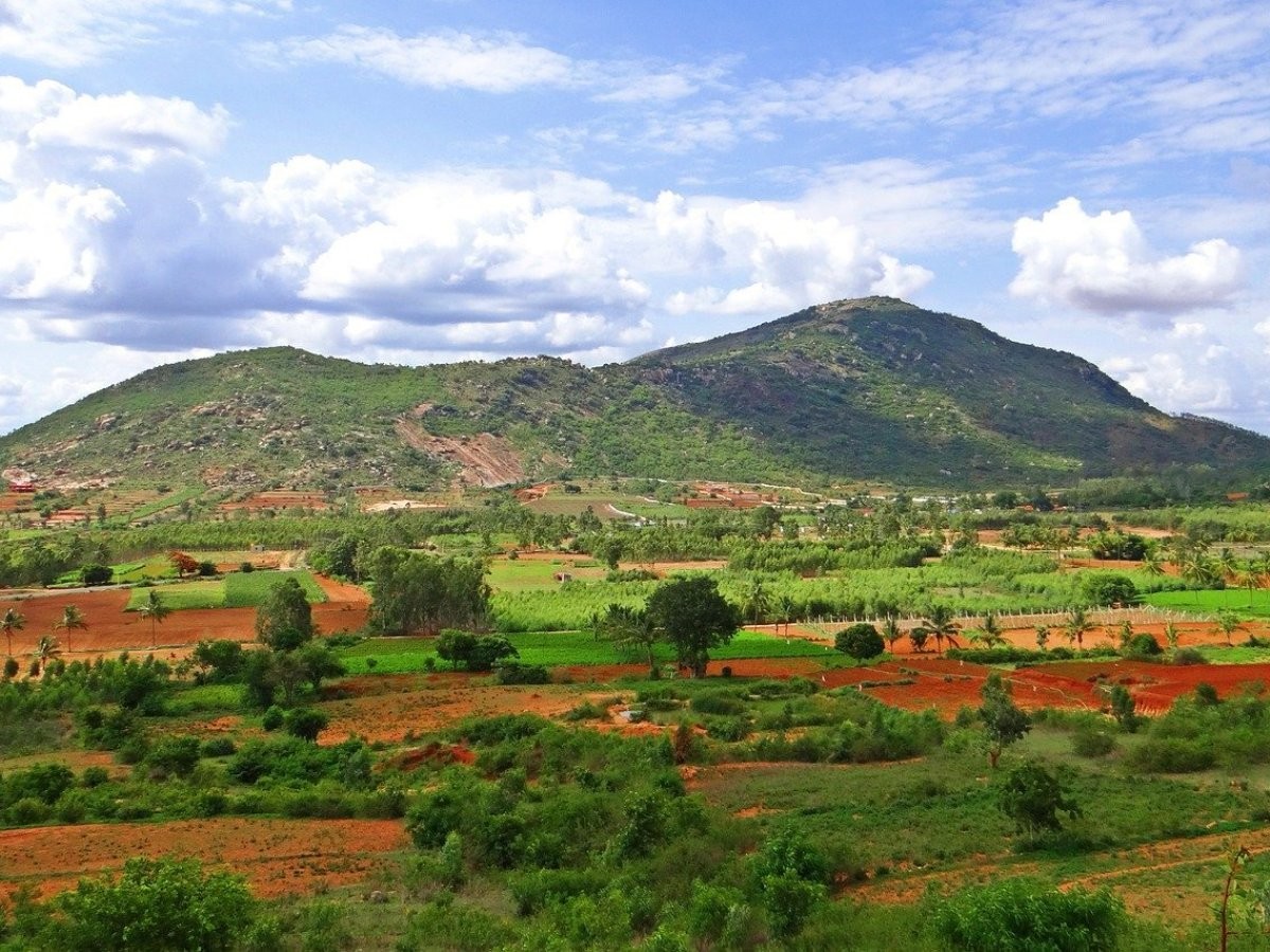 खोटाङमा धान र अलैँचीको उत्पादन घट्यो