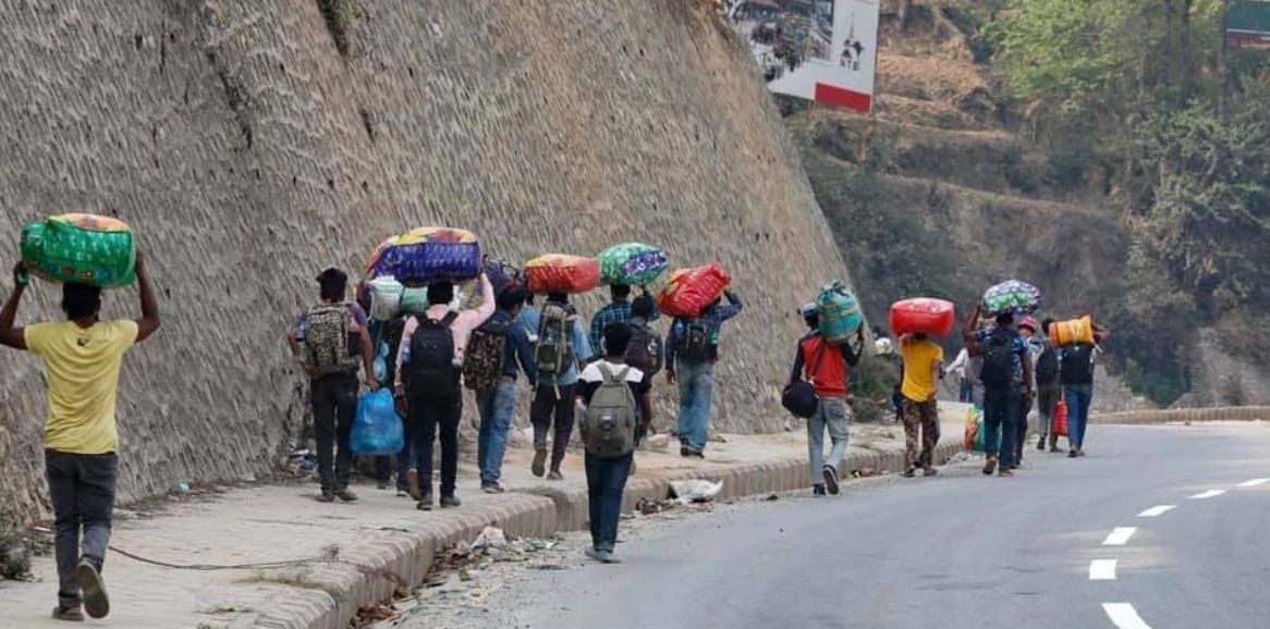 रसुवाबाट हिडेरै सुर्खेत पुगे दैलेख र मुगुका युवा