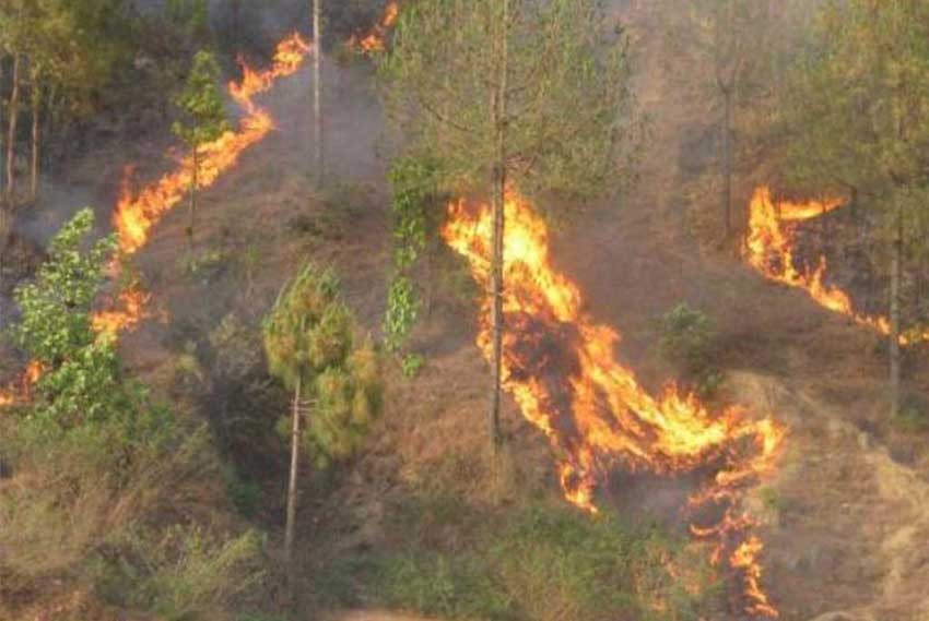 कर्णालीमा डढेलो निभाउन गएका २३ जनाको मृत्यु