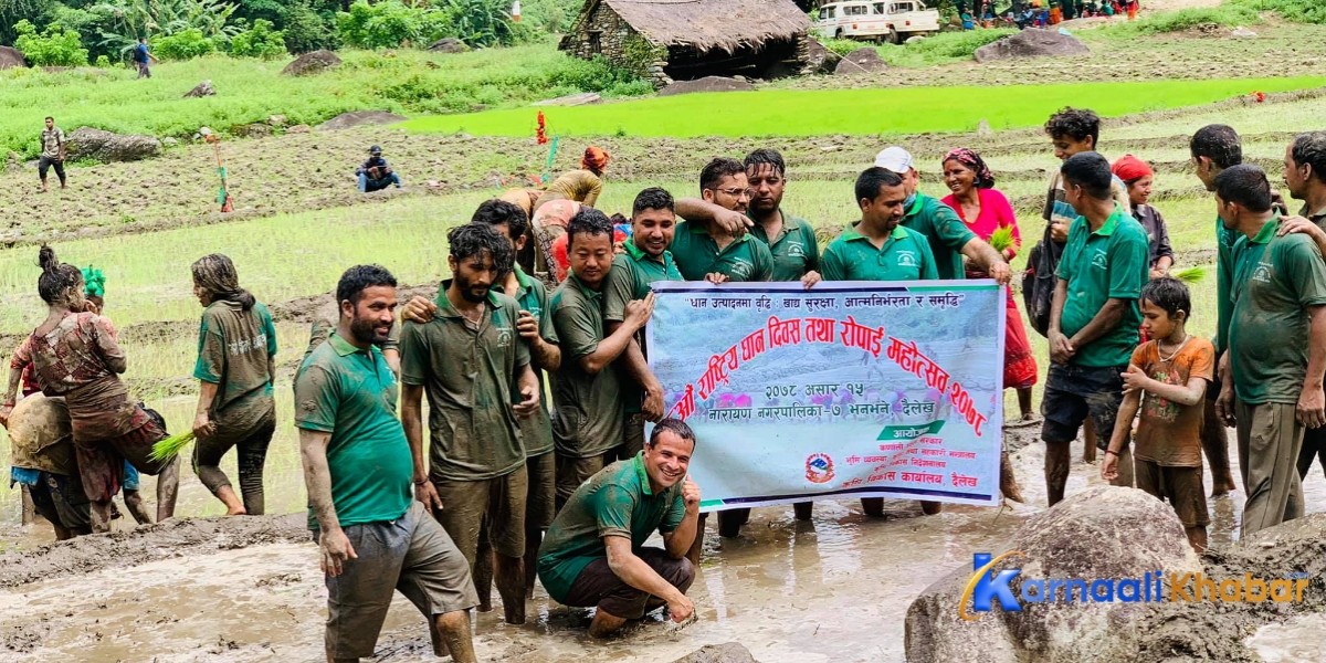 दैलेखमा यसरी मनाइयो धान दिवस