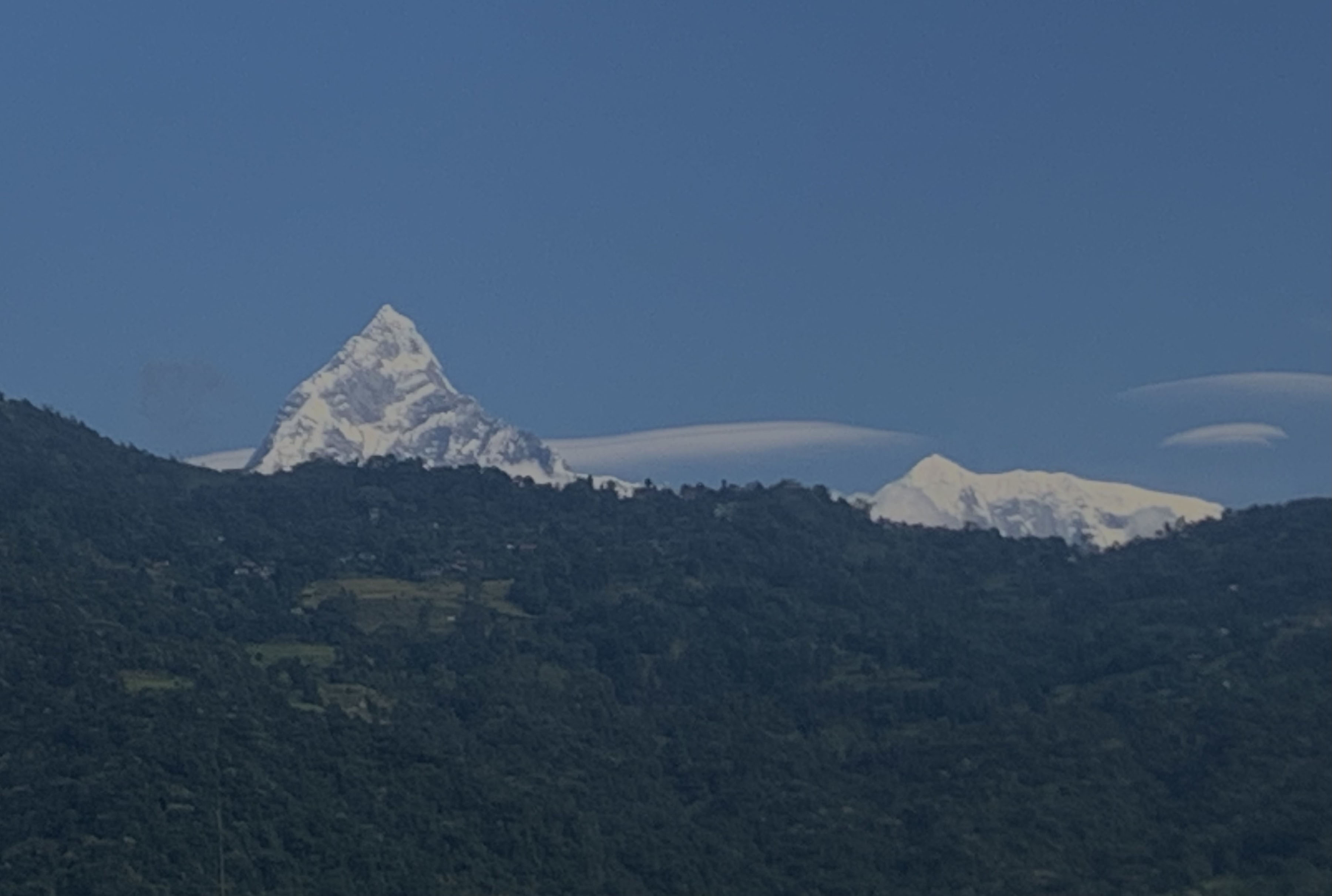  पोखरामा चार देशका कलाकारको ‘आर्ट क्याम्प’ 