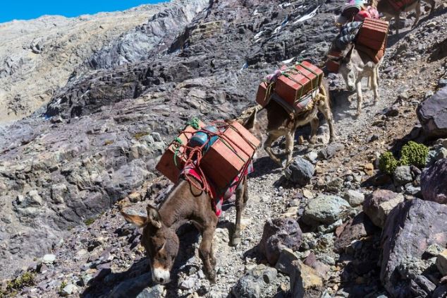 ग्रामीण सडक मर्मत नहुँदा खच्चडकै सहारा