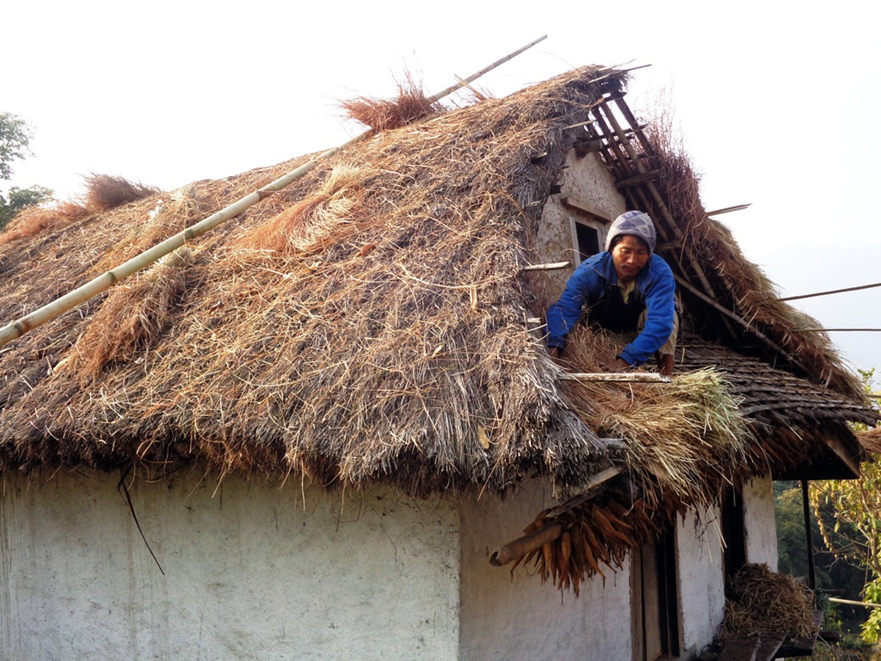 खजुरा खरको छानामुक्त हुँदै