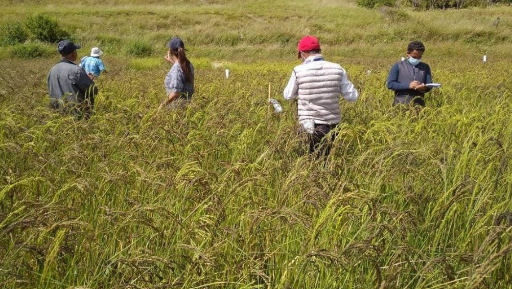 काठमाडौंलाई अन्न पठाउँछ कर्णाली