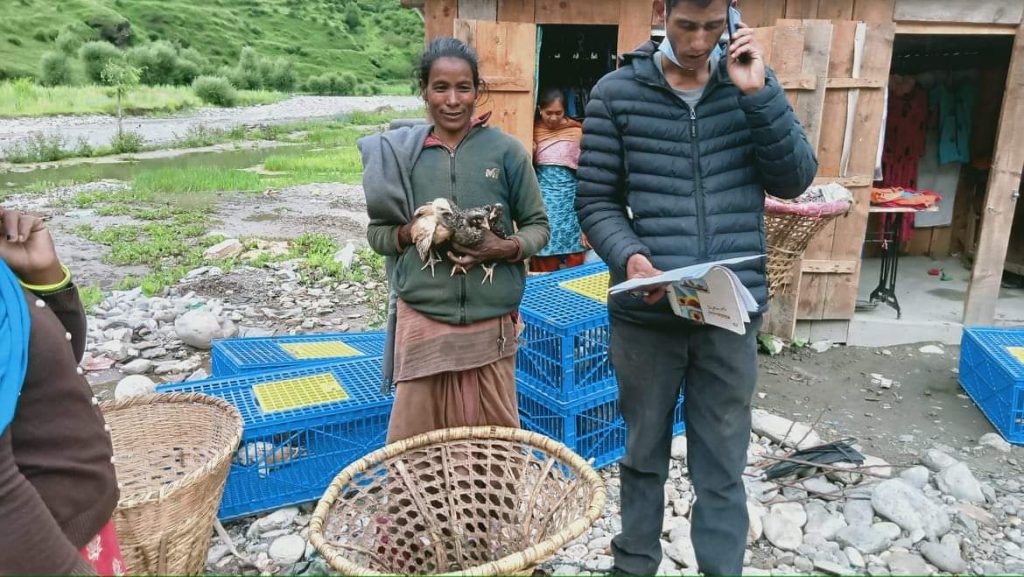  जुम्लाका विपन्नलाई कुखुरा