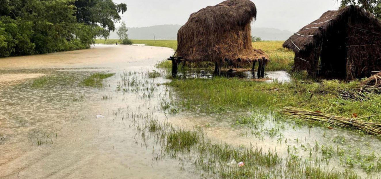 प्रतिकार्यमा समस्या