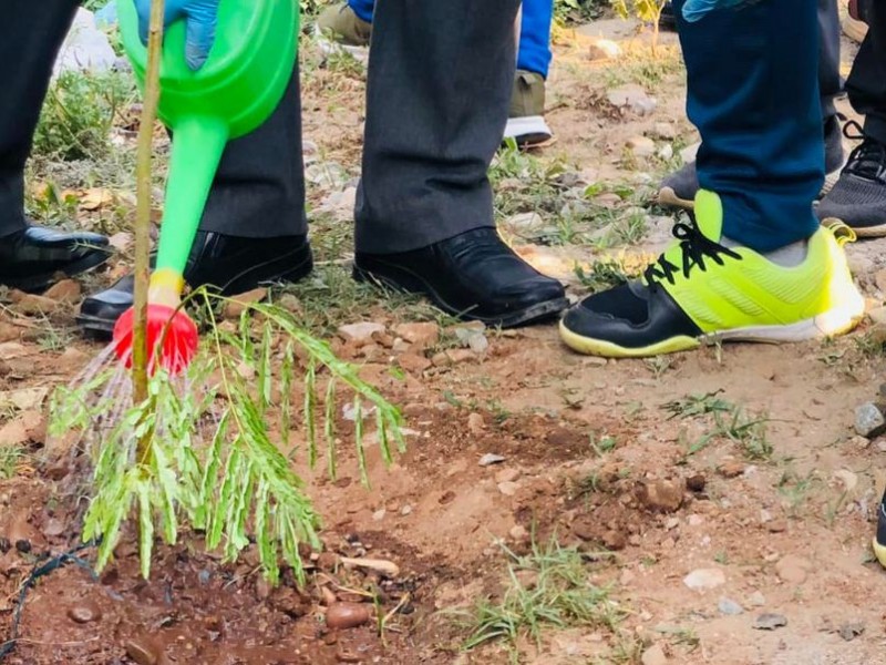 एक घर दुई बिरुवा रोप्न आग्रह