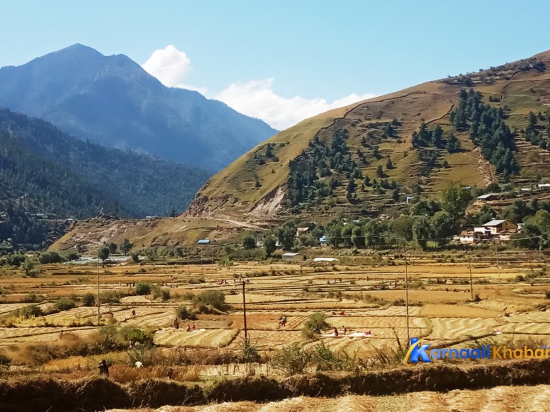 यसरी भित्र्याइँदैछ कर्णालीको सम्पति कालीमार्सी