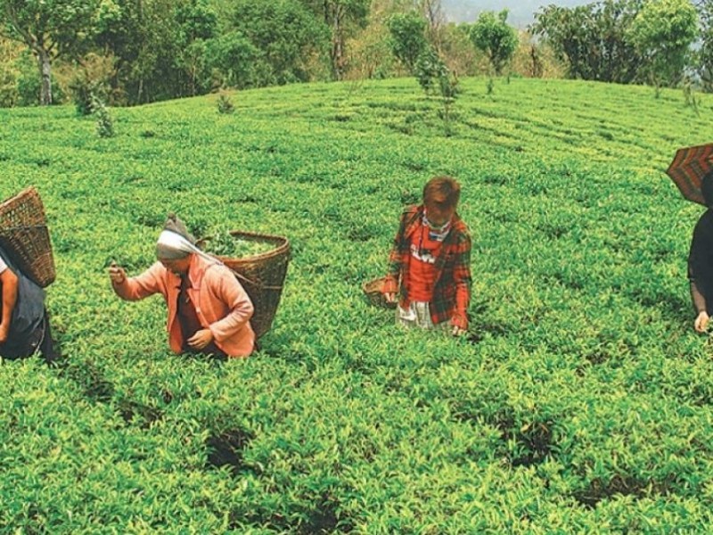 कृषकलाई दुई करोड अनुदान