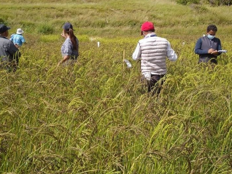 काठमाडौंलाई अन्न पठाउँछ कर्णाली