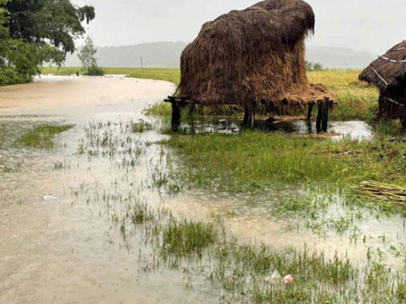 प्रतिकार्यमा समस्या