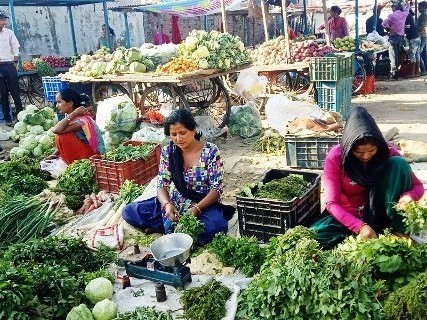 खुल्यो कृषि हाट तथा थोक बजार