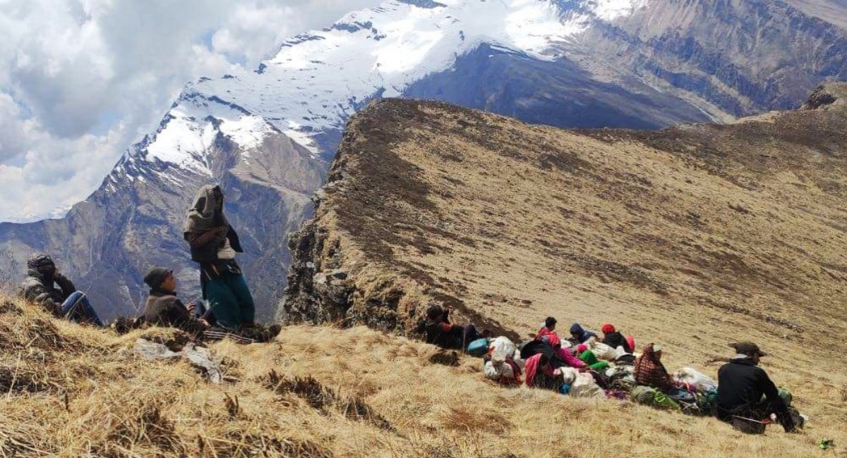 यसरी टिप्छन्‌ कर्णालीमा सुन 