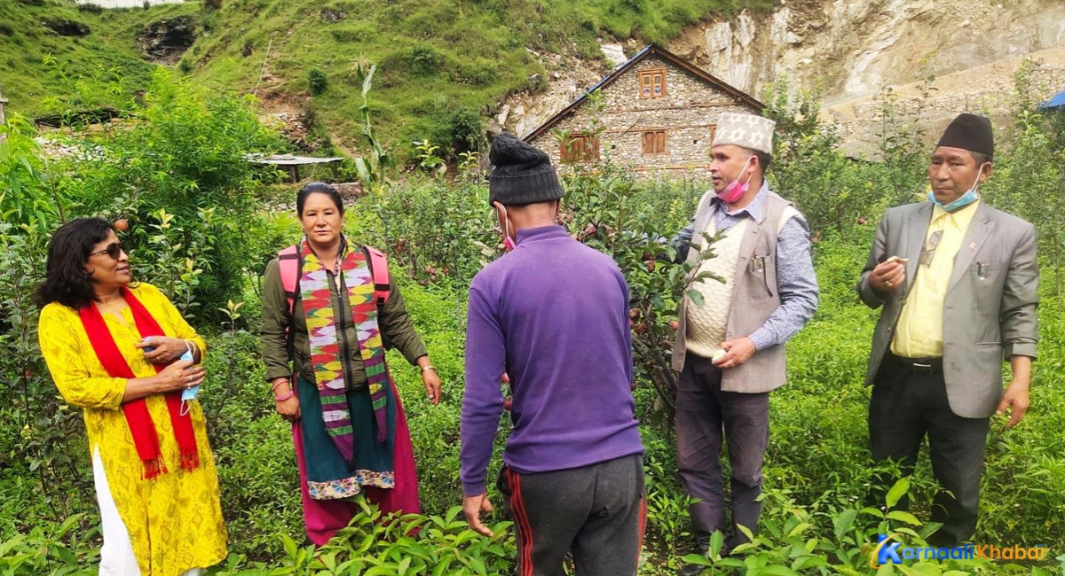 ओखर खेतीको आम्दानीले आत्मनिर्भरको बाटो