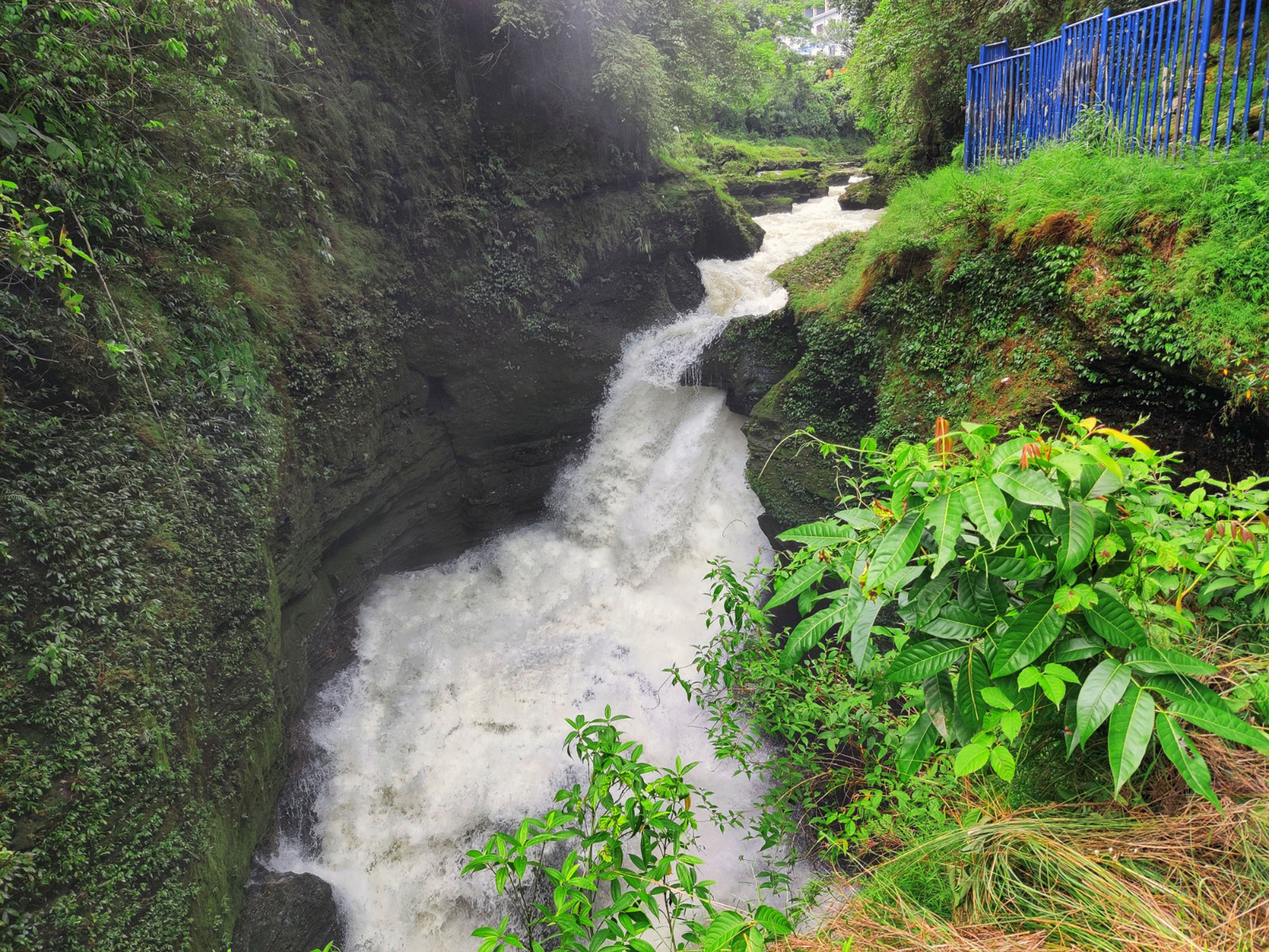 पोखराको डेभिड फल्स