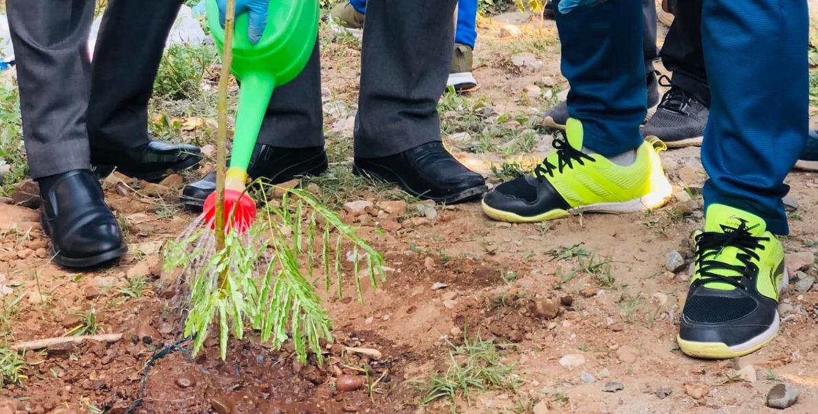 एक घर दुई बिरुवा रोप्न आग्रह