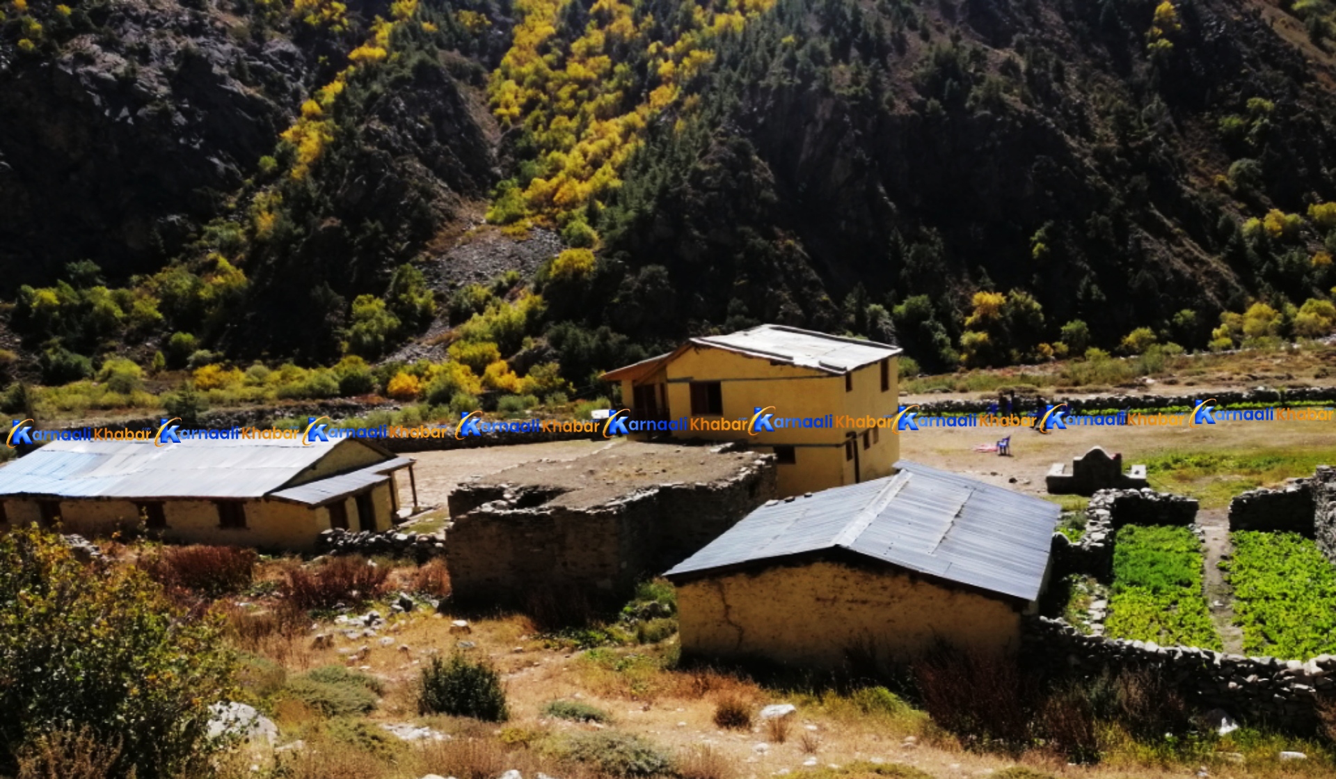 जहाँको प्रहरी चौकीमा उजुरी पर्दैनन् 