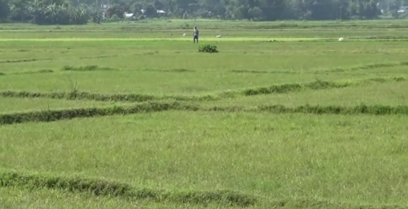 कर्णालीमा जग्गा वर्गीकरणमा ढिलाइ